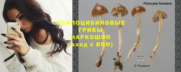 стаф Горняк