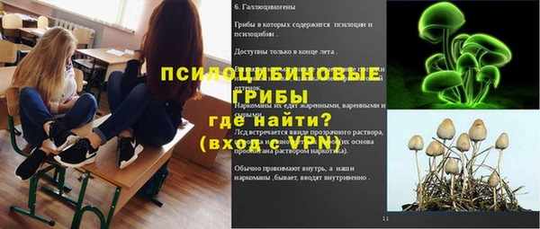 стафф Бронницы