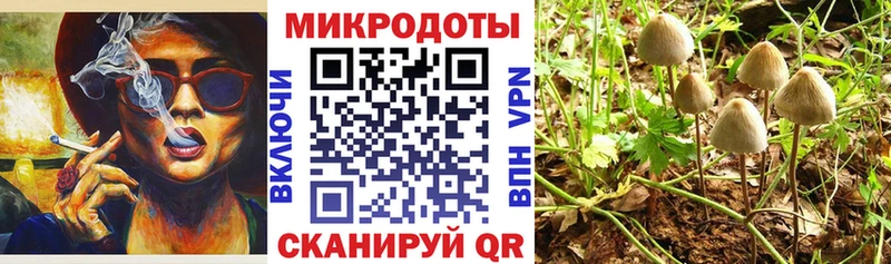 Галлюциногенные грибы Psilocybine cubensis Вольск