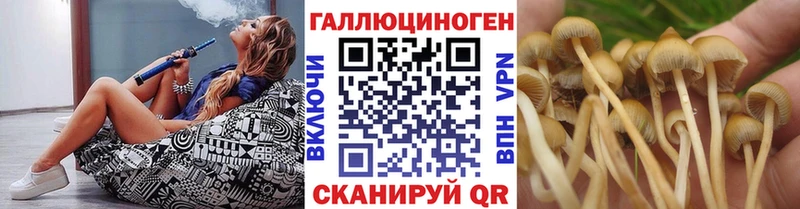 Псилоцибиновые грибы GOLDEN TEACHER  Вольск 
